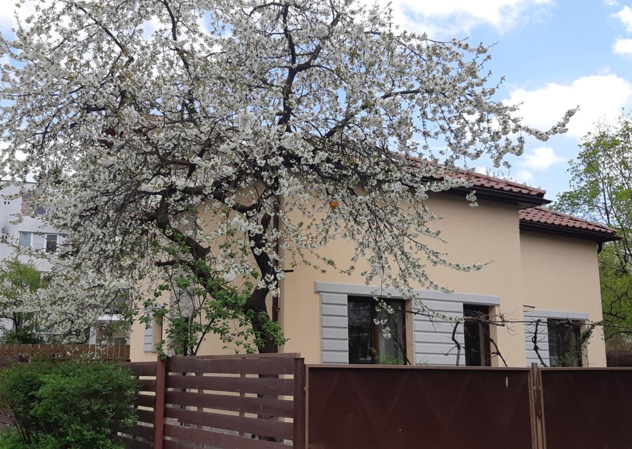 Appartamento Casa Cu Tei Cluj-Napoca Esterno foto